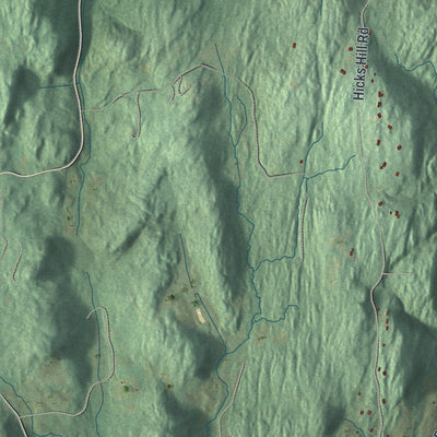 Close-up of the map of Pine Plains, New York print showing street and building detail