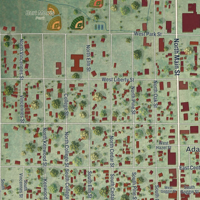 Close-up of the map of Adams, Wisconsin print showing street and building detail