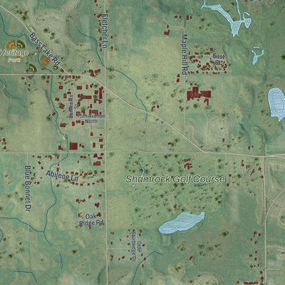 Close-up of the map of Corcoran, Minnesota print showing street and building detail
