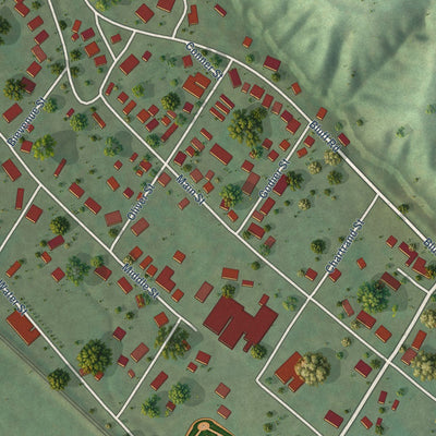 Close-up of the map of Prairie du Rocher, Illinois print showing street and building detail