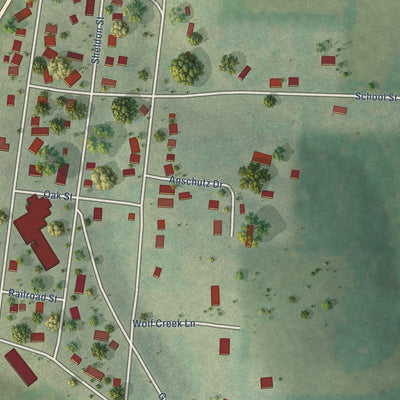 Close-up of the map of Gratiot, Wisconsin print showing street and building detail