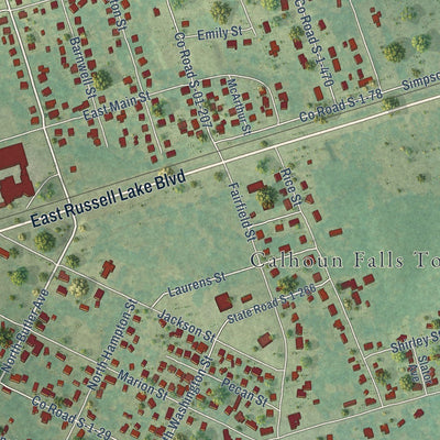 Close-up of the map of Calhoun Falls, South Carolina print showing street and building detail