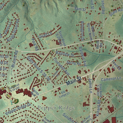 Close-up of the map of Lugoff, South Carolina print showing street and building detail
