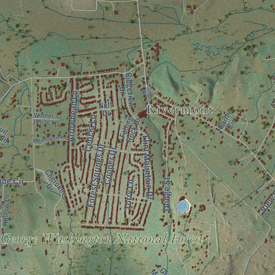 Close-up of the map of Stuarts Draft, Virginia print showing street and building detail