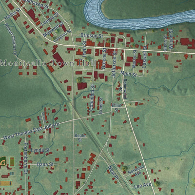 Close-up of the map of Monticello, Mississippi print showing street and building detail