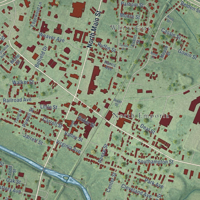 Close-up of the map of Emporia, Virginia print showing street and building detail