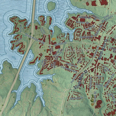 Close-up of the map of Davidson, North Carolina print showing street and building detail