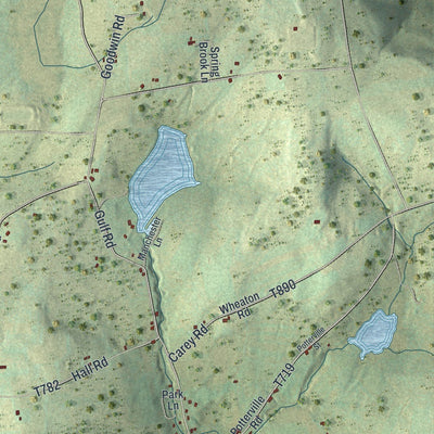 Close-up of the map of Orwell, Pennsylvania print showing street and building detail