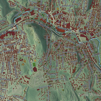 Close-up of the map of Fitchburg, Massachusetts print showing street and building detail