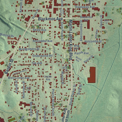 Close-up of the map of Union Springs, Alabama print showing street and building detail