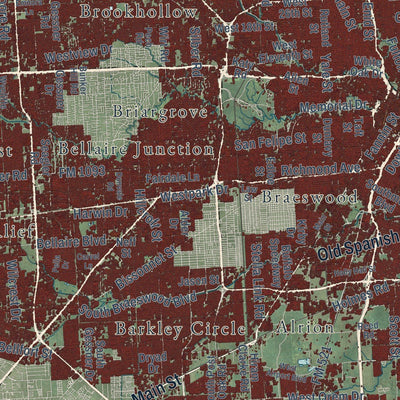Close-up of the map of Houston, Texas print showing street and building detail