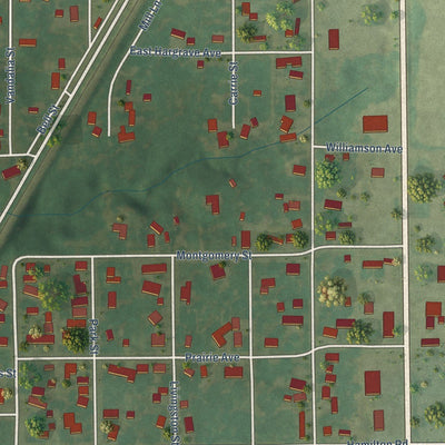 Close-up of the map of Taylor Springs, Illinois print showing street and building detail