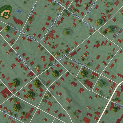 Close-up of the map of Graysville, Tennessee print showing street and building detail