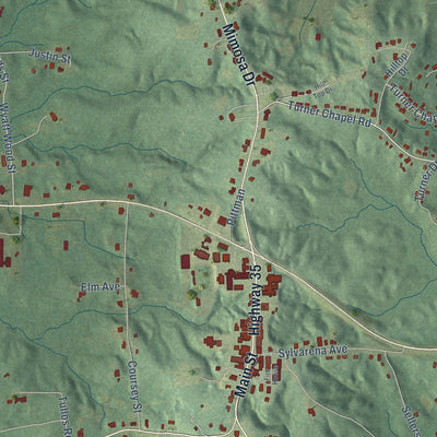 Close-up of the map of Raleigh, Mississippi print showing street and building detail