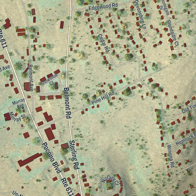 Close-up of the map of Mount Pocono, Pennsylvania print showing street and building detail