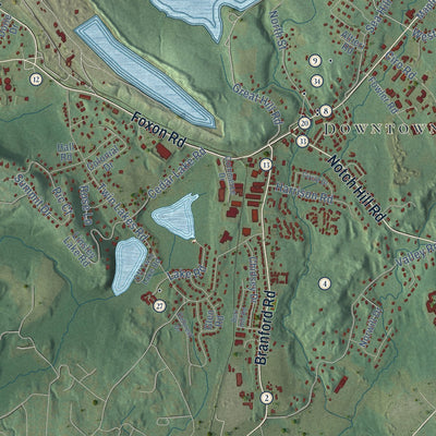 Close-up of the map of North Branford, Connecticut print showing street and building detail