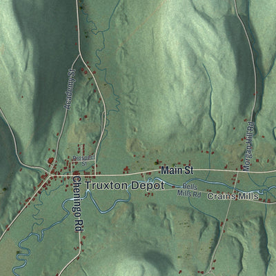 Close-up of the map of Truxton, New York print showing street and building detail