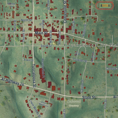 Close-up of the map of Greensboro, Alabama print showing street and building detail