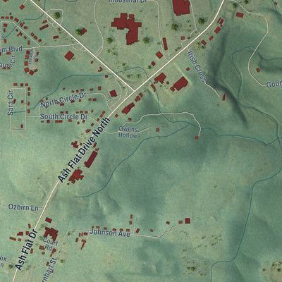 Close-up of the map of Ash Flat, Arkansas print showing street and building detail