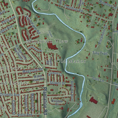 Close-up of the map of Hollins, Virginia print showing street and building detail