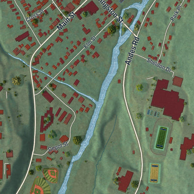 Close-up of the map of the Village of Delhi, New York print showing street and building detail