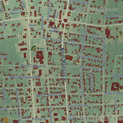 Close-up of the map of Whiteville, North Carolina print showing street and building detail