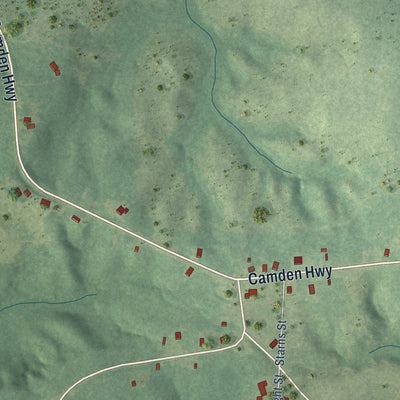 Close-up of the map of Bluff City, Arkansas print showing street and building detail