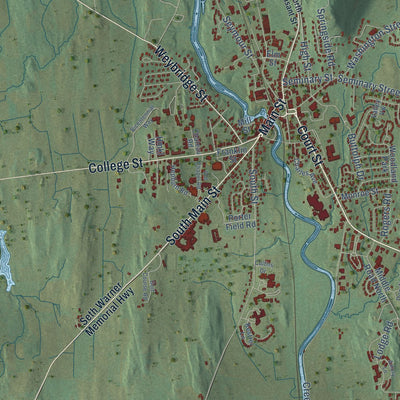 Close-up of the map of Middlebury, Vermont print showing street and building detail