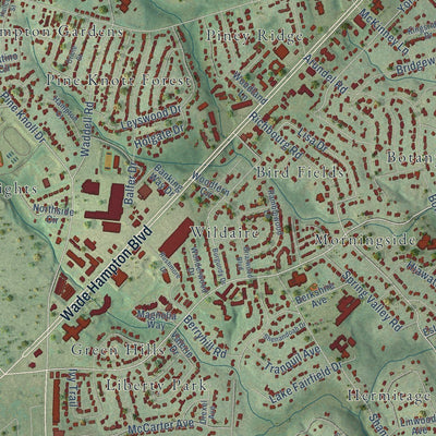 Close-up of the map of Wade Hampton, South Carolina print showing street and building detail