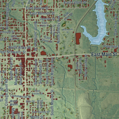 Close-up of the map of Salem, Illinois print showing street and building detail