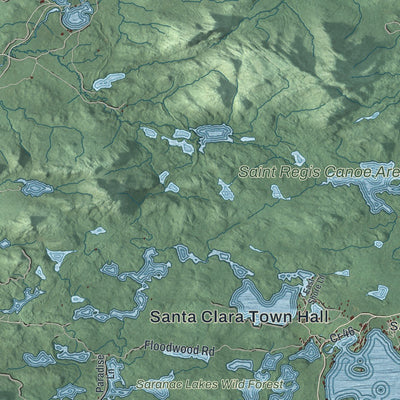 Close-up of the map of Santa Clara, New York print showing street and building detail