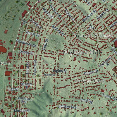 Close-up of the map of Radford, Virginia print showing street and building detail