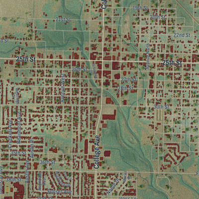 Close-up of the map of Snyder, Texas print showing street and building detail