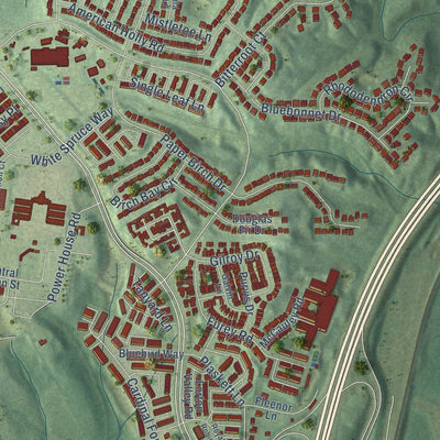 Close-up of the map of Laurel Hill, Virginia print showing street and building detail