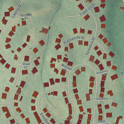 Close-up of the map of Alamance, North Carolina print showing street and building detail