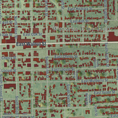 Close-up of the map of Watseka, Illinois print showing street and building detail
