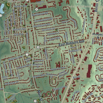 Close-up of the map of Newington, Connecticut print showing street and building detail