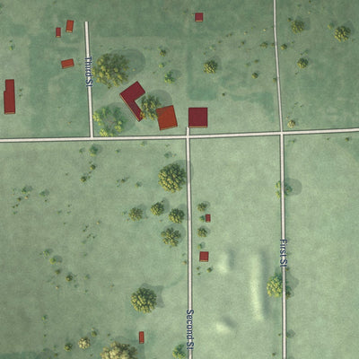 Close-up of the map of Verdon, South Dakota print showing street and building detail