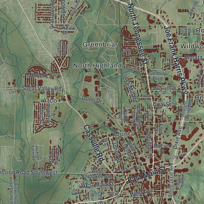 Close-up of the map of Cartersville, Georgia print showing street and building detail