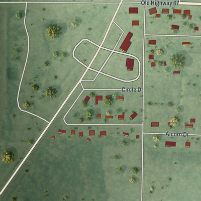 Close-up of the map of Neelyville, Missouri print showing street and building detail