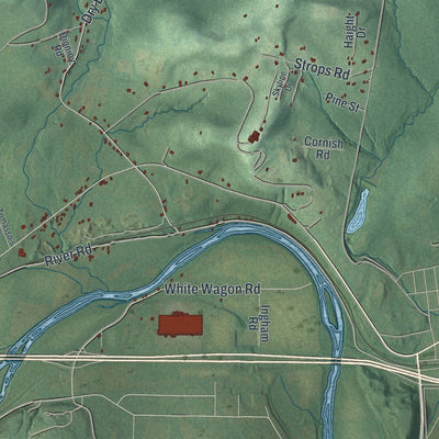 Close-up of the map of Chemung, New York print showing street and building detail
