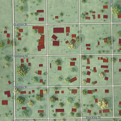 Close-up of the map of Ohiowa, Nebraska print showing street and building detail