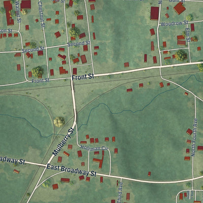 Close-up of the map of McNeil, Arkansas print showing street and building detail