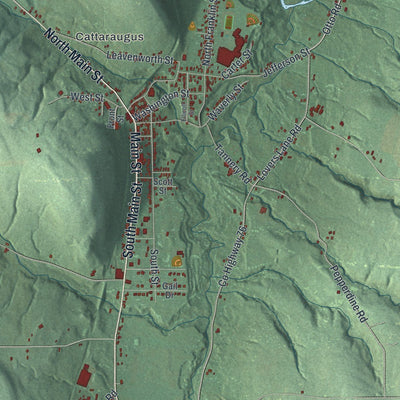 Close-up of the map of New Albion, New York print showing street and building detail