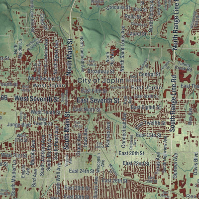 Close-up of the map of Joplin, Missouri print showing street and building detail