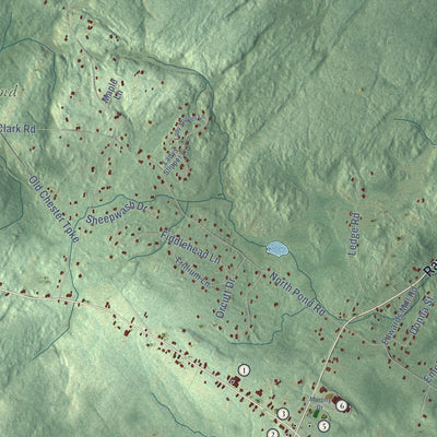 Close-up of the map of Chester, New Hampshire print showing street and building detail
