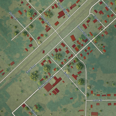 Close-up of the map of McRae, Arkansas print showing street and building detail