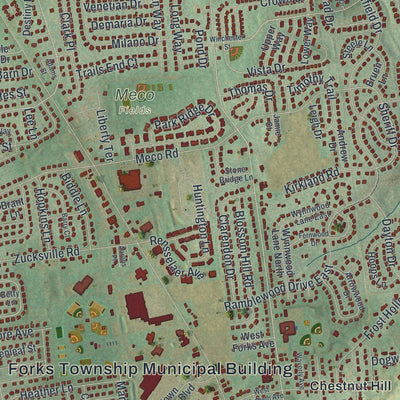 Close-up of the map of Forks, Northampton County, Pennsylvania print showing street and building detail