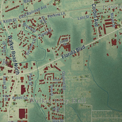 Close-up of the map of Walker, Louisiana print showing street and building detail
