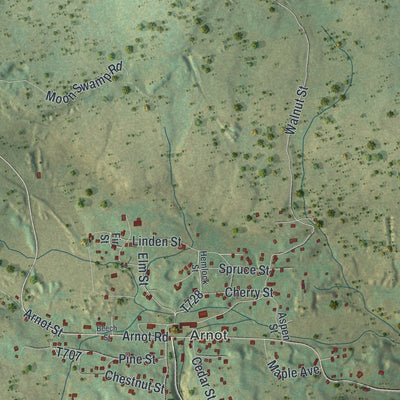 Close-up of the map of Bloss, Pennsylvania print showing street and building detail